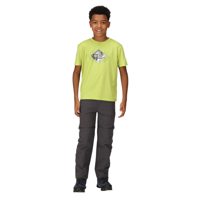 Regatta Kinderen/kinderen alvarado vii gevestigd t-shirt UTRG9495_greenalgae large