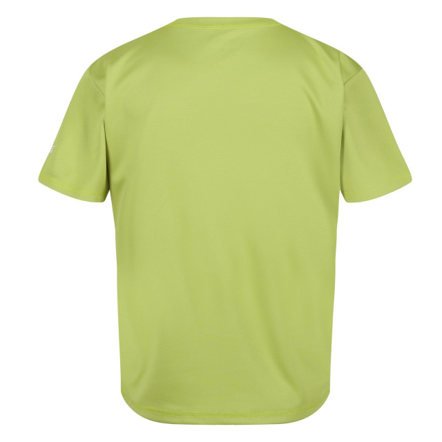 Regatta Kinderen/kinderen alvarado vii gevestigd t-shirt UTRG9495_greenalgae large