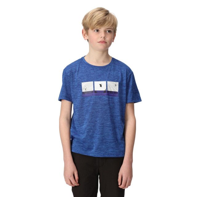 Regatta Kinderen/kinderen findley grafisch t-shirt marl UTRG9545_strongblue large