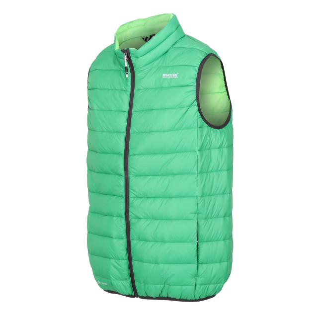 Regatta Heren marizion gewatteerd gilet UTRG9603_fieldgreenjasminegreen large