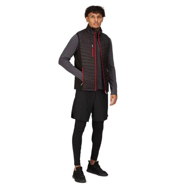 Regatta Heren navigate gewatteerd hybride gilet UTRG9422_blackclassicred large