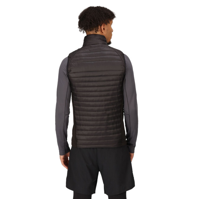 Regatta Heren navigate gewatteerd hybride gilet UTRG9422_blackclassicred large