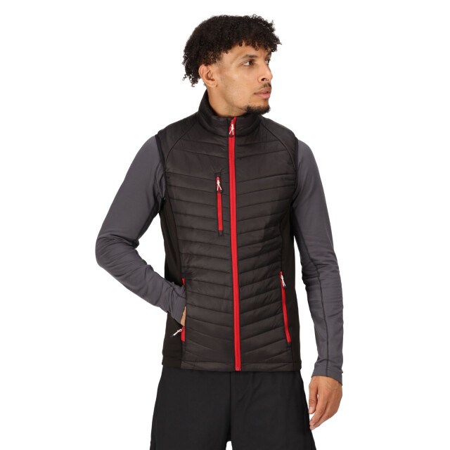 Regatta Heren navigate gewatteerd hybride gilet UTRG9422_blackclassicred large