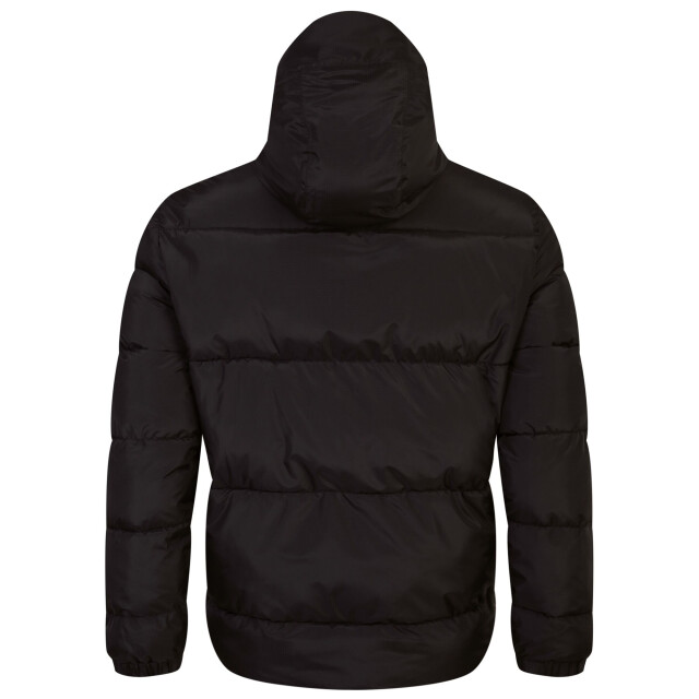 Dare2b Gewatteerd herenjack endless iv UTRG9418_black large