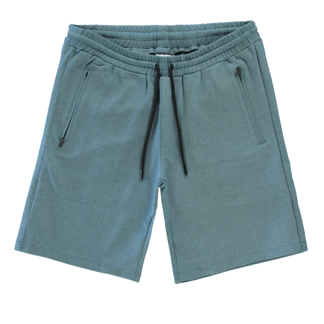 Cars 4819444 HERELL SW Short Moss large