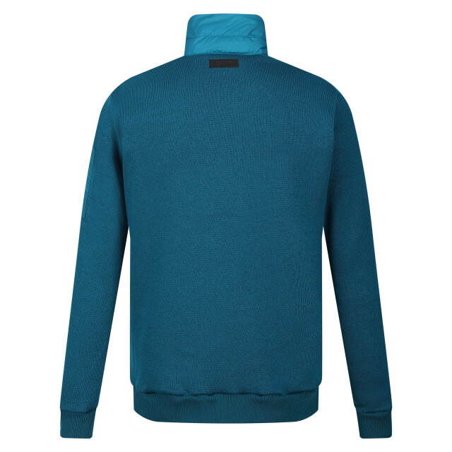 Regatta Dames colliston baffled fleece jas UTRG9027_gulfstream large