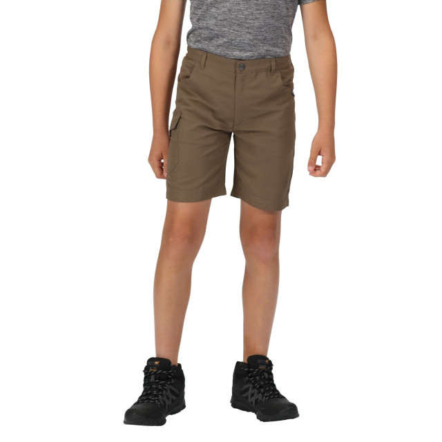 Regatta Kinderen/kinderen sorcer ii shorts UTRG5104_treetop large