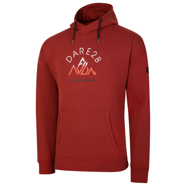 Dare2b Heren distinctly graphic print hoodie UTRG9225_madderbrown large