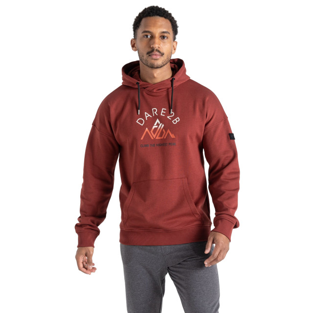 Dare2b Heren distinctly graphic print hoodie UTRG9225_madderbrown large