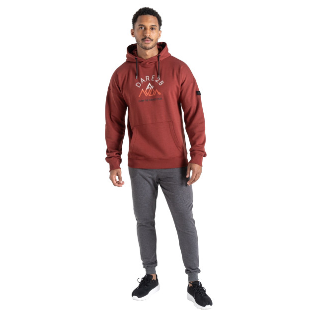 Dare2b Heren distinctly graphic print hoodie UTRG9225_madderbrown large