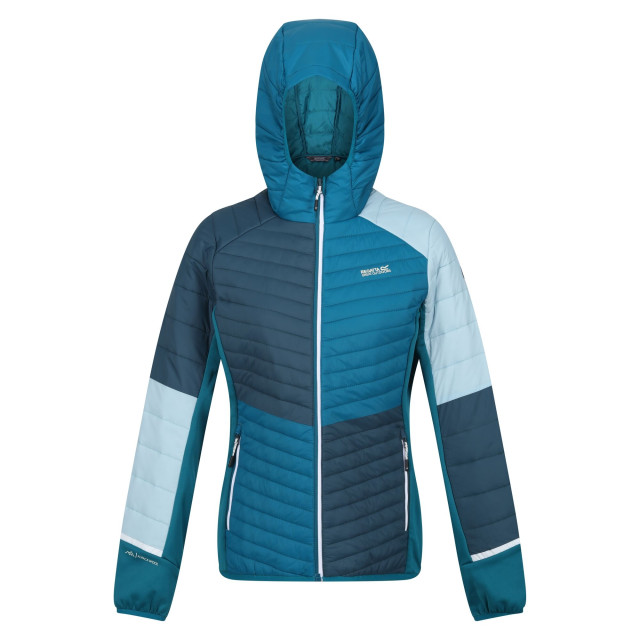 Regatta Dames trutton ii baffled hooded jacket UTRG9212_reflectinglakegulfstream large