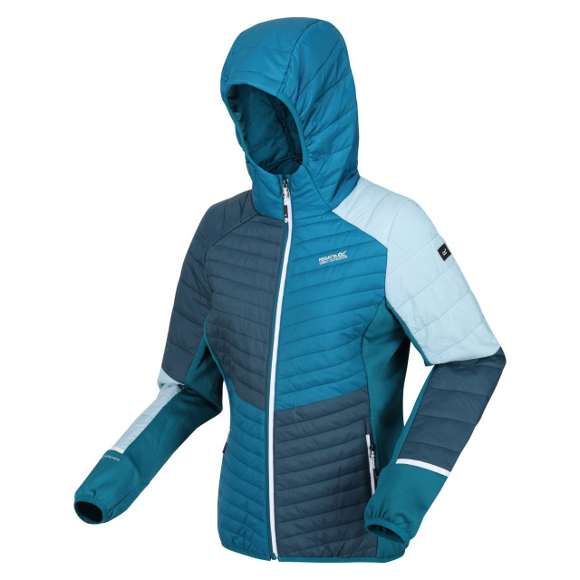 Regatta Dames trutton ii baffled hooded jacket UTRG9212_reflectinglakegulfstream large