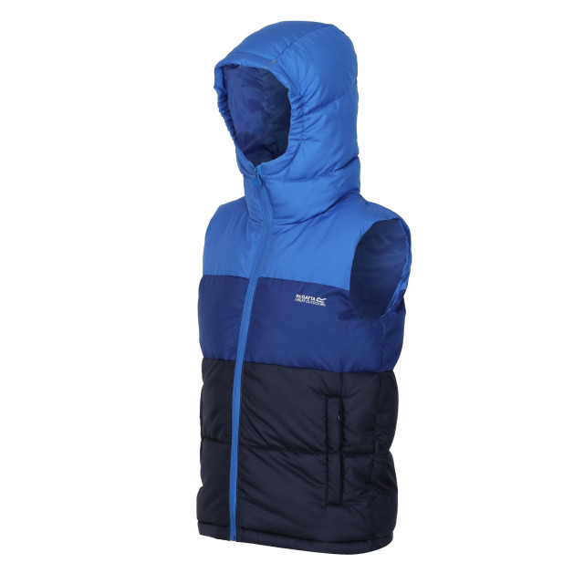 Regatta Kinder/kinder lofthouse zwaargewicht bodywarmer UTRG9088_strongbluenewroyal large