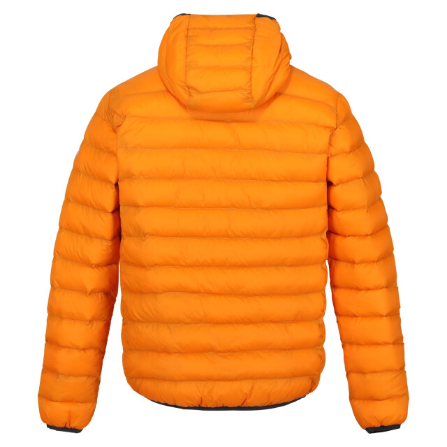 Regatta Heren marizion gewatteerde jas met capuchon UTRG9069_orangepepperburntcopper large