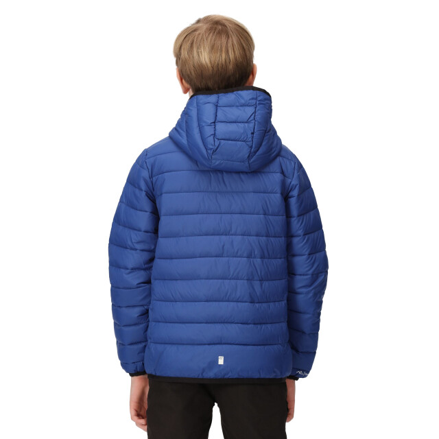 Regatta Marizion gewatteerde jas met capuchon voor kinderen/kinderen UTRG9018_newroyalstrongblue large