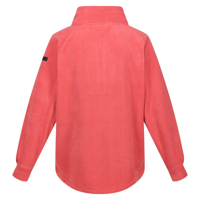 Regatta Dames lavendon half zip fleece top UTRG8900_mineralred large