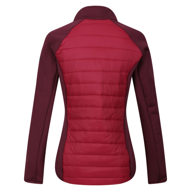 Regatta Dames clumber iv hybride jas UTRG8951_rumbaredburgundy large