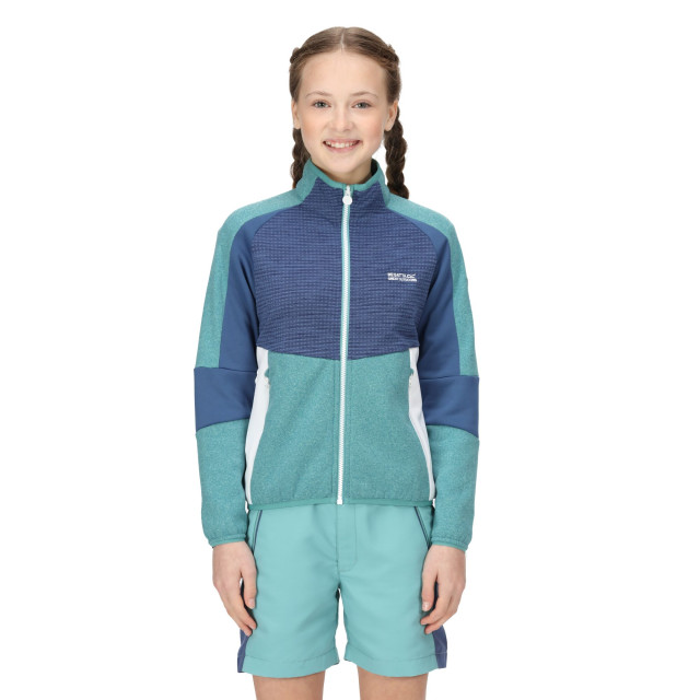 Regatta Kinder/kinder oberon vii marl full zip fleecejack UTRG8891_bristolbluedustydenim large