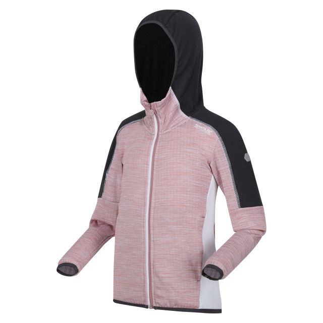 Regatta Burnton full zip fleecejack voor kinderen/kinderen UTRG8889_duskyrosesealgrey large