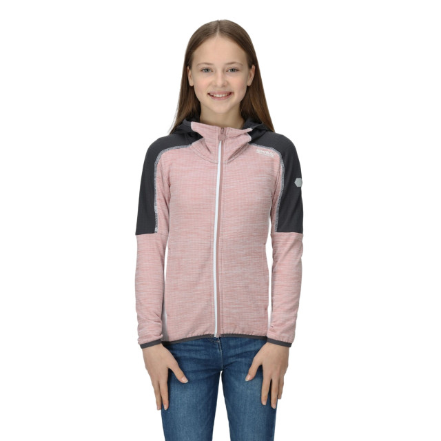 Regatta Burnton full zip fleecejack voor kinderen/kinderen UTRG8889_duskyrosesealgrey large