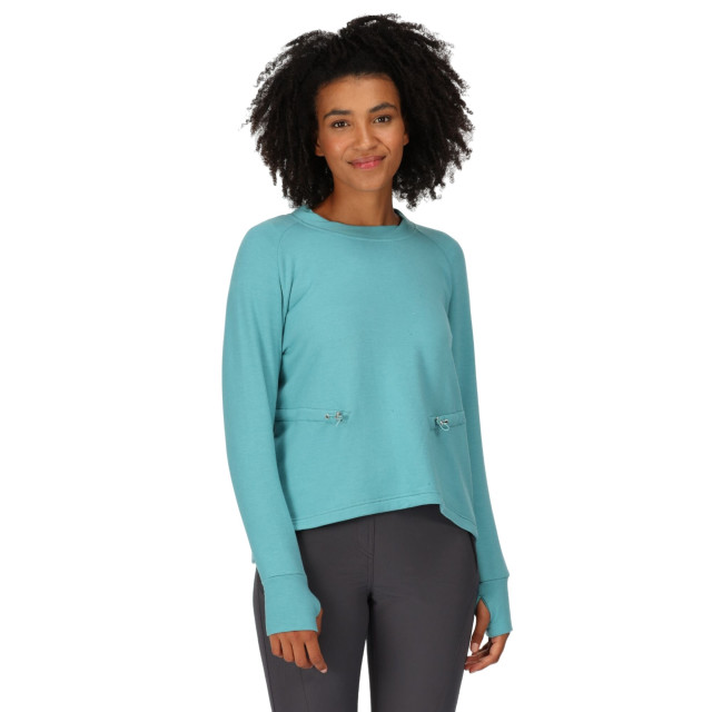 Regatta Dames narine marl sweatshirt UTRG8821_bristolblue large