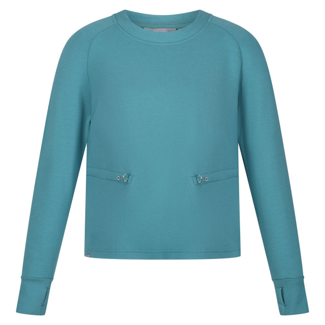 Regatta Dames narine marl sweatshirt UTRG8821_bristolblue large