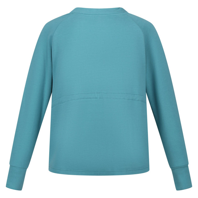 Regatta Dames narine marl sweatshirt UTRG8821_bristolblue large