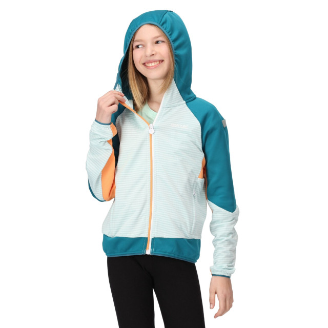 Regatta Kinder/kids prenton ii hooded soft shell jacket UTRG8772_seahazegulfstream large