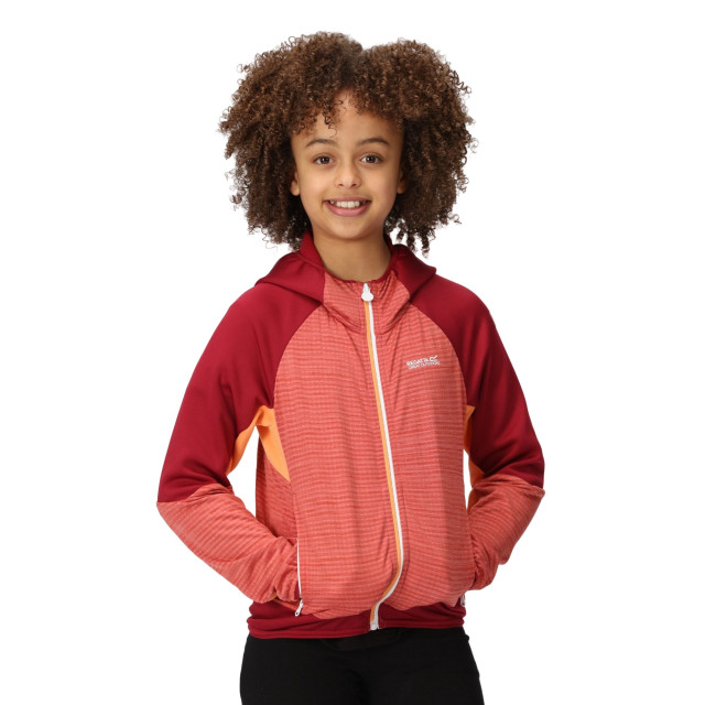 Regatta Kinder/kids prenton ii hooded soft shell jacket UTRG8772_mineralredrumbared large