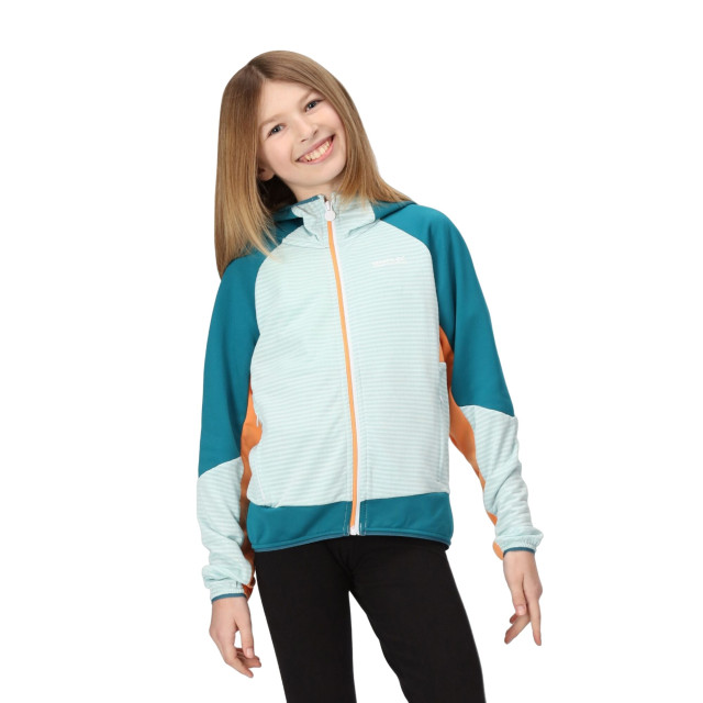 Regatta Kinder/kids prenton ii hooded soft shell jacket UTRG8772_seahazegulfstream large