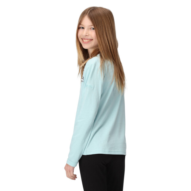Regatta Kinderen/kinderen wenbie iii sterren t-shirt UTRG8739_seahaze large
