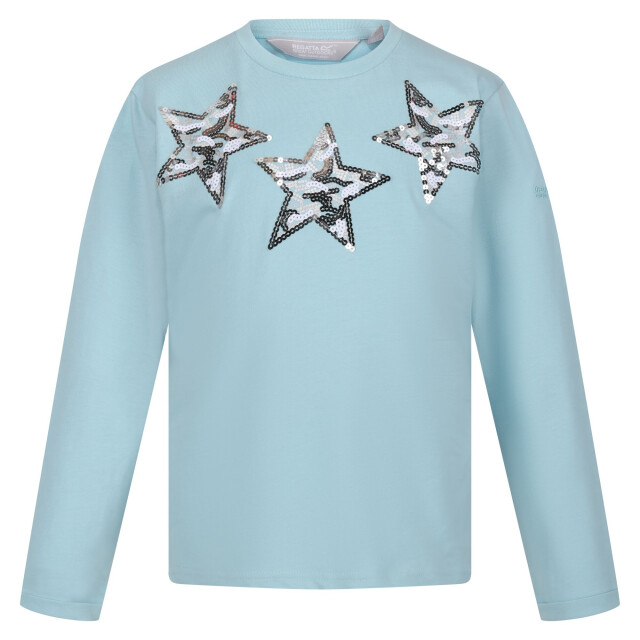 Regatta Kinderen/kinderen wenbie iii sterren t-shirt UTRG8739_seahaze large