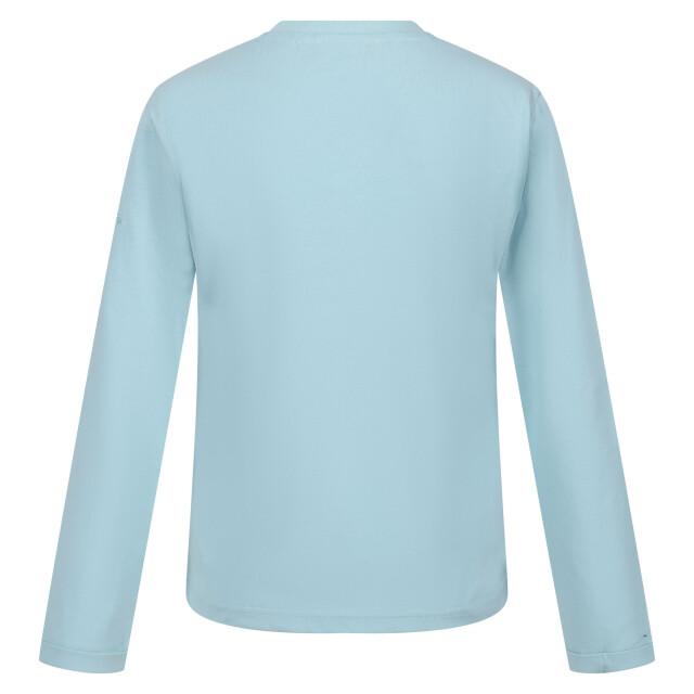 Regatta Kinderen/kinderen wenbie iii sterren t-shirt UTRG8739_seahaze large