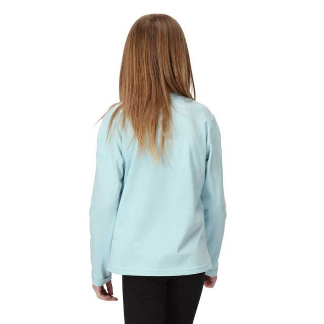 Regatta Kinderen/kinderen wenbie iii sterren t-shirt UTRG8739_seahaze large