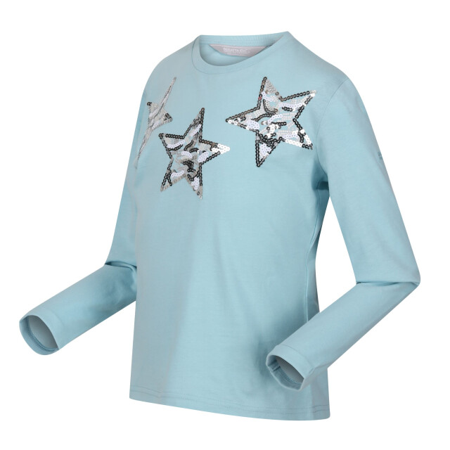 Regatta Kinderen/kinderen wenbie iii sterren t-shirt UTRG8739_seahaze large
