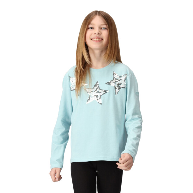 Regatta Kinderen/kinderen wenbie iii sterren t-shirt UTRG8739_seahaze large