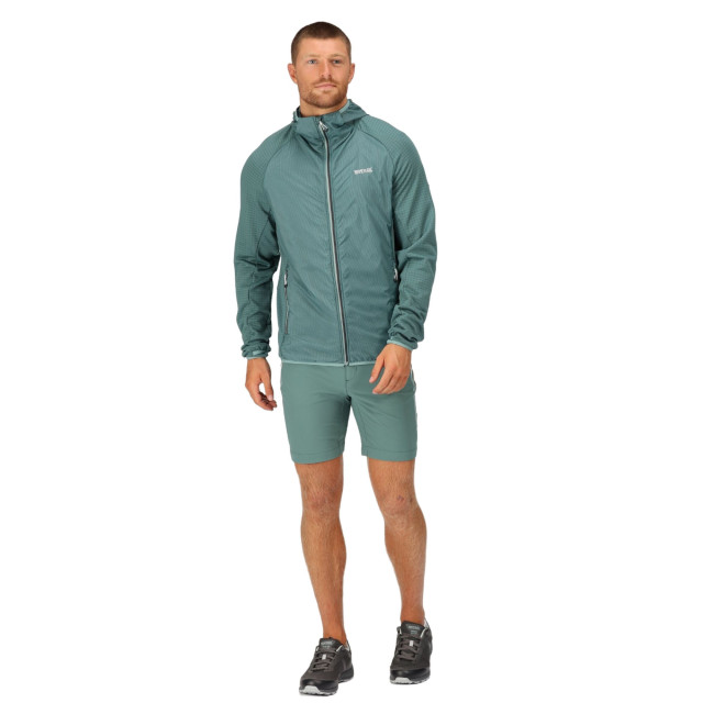 Regatta Heren highton lite hybride soft shell jas met capuchon UTRG9566_ivymossseapine large