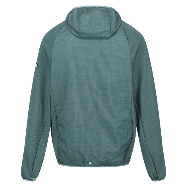 Regatta Heren highton lite hybride soft shell jas met capuchon UTRG9566_ivymossseapine large