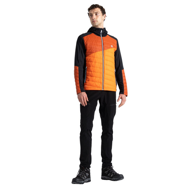 Dare2b Heren touring contrast paneel hybride jas UTRG9488_puffinsorangerooibostea large