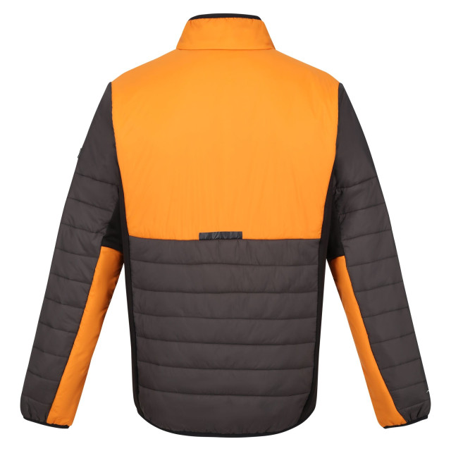 Regatta Heren halton vii contrast paneel gewatteerde jas UTRG9484_ashorangepepper large