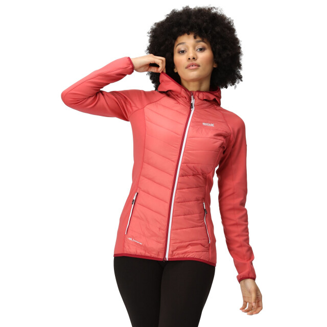 Regatta Dames andreson viii hybride jas UTRG9336_mineralred large