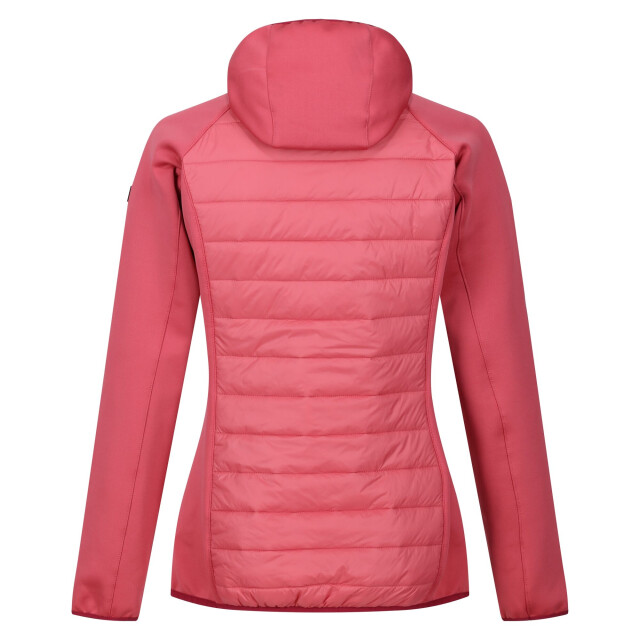 Regatta Dames andreson viii hybride jas UTRG9336_mineralred large