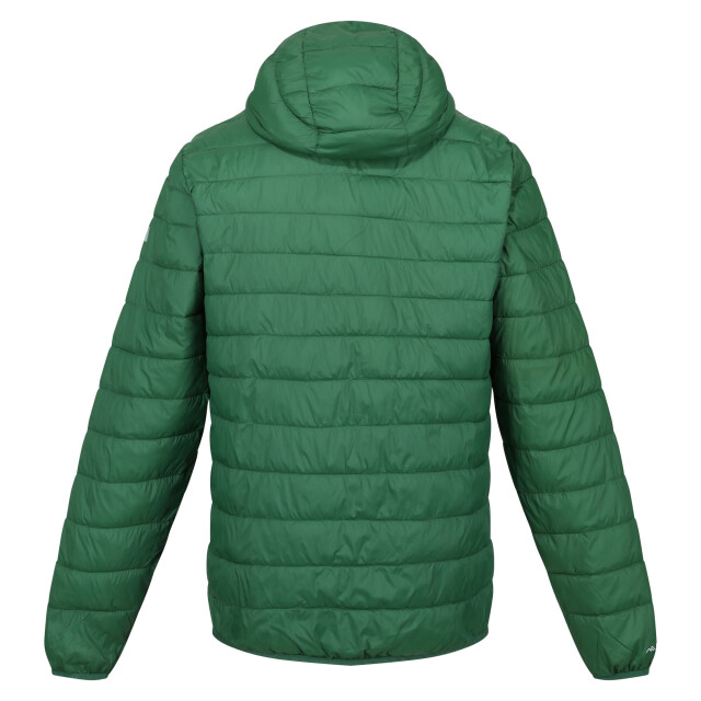 Regatta Heren hillpack hooded lightweight jacket UTRG8445_eden large