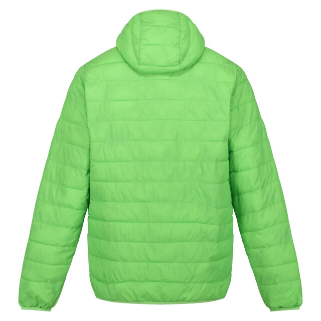 Regatta Heren hillpack hooded lightweight jacket UTRG8445_jasminegreen large