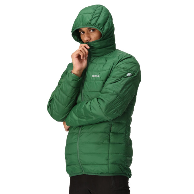 Regatta Heren hillpack hooded lightweight jacket UTRG8445_eden large