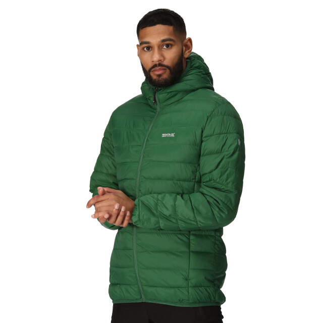 Regatta Heren hillpack hooded lightweight jacket UTRG8445_eden large
