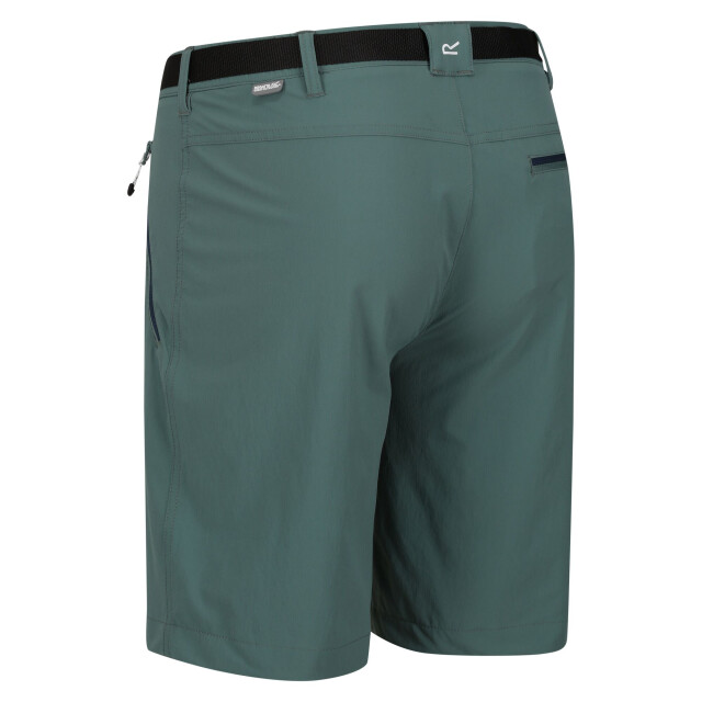 Regatta Heren xert iii stretch shorts UTRG4948_seapine large