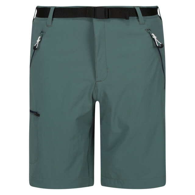Regatta Heren xert iii stretch shorts UTRG4948_seapine large