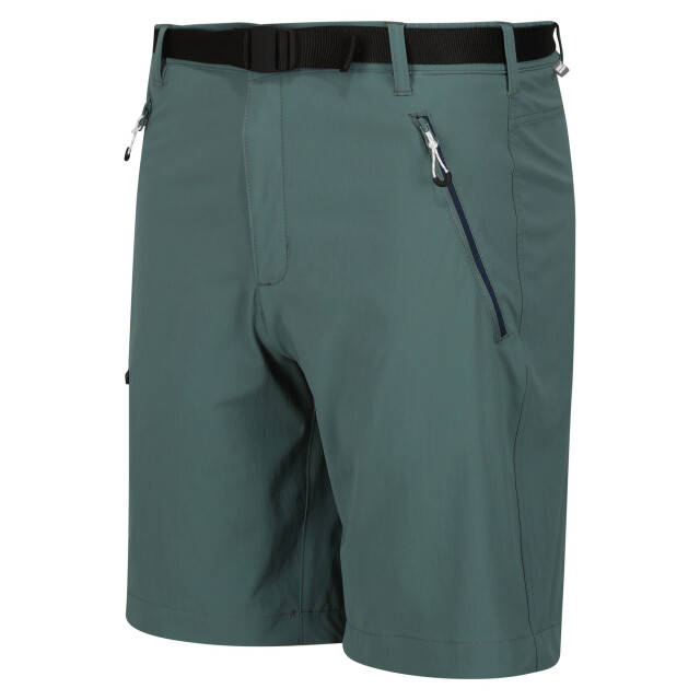 Regatta Heren xert iii stretch shorts UTRG4948_seapine large
