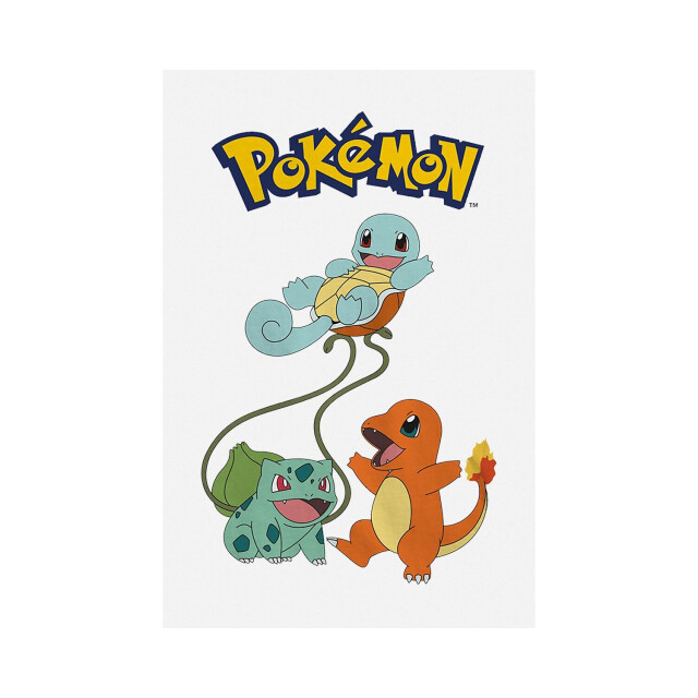 Pokemon Kinderen/kinderen origineel trio t-shirt UTHE337_white large